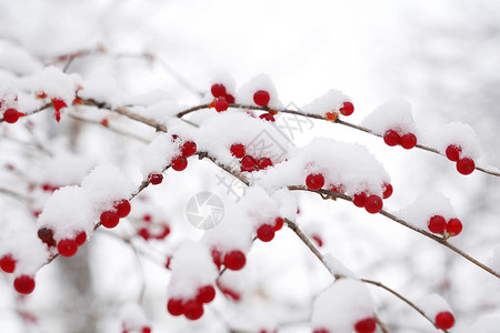 下雪后的湖边和山上风景高清图片