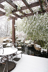 冬天我后院下雪后的湖边和山上风景背景