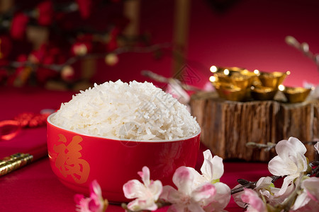 传统文化新年传统特色米饭图片
