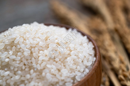 粮食大米和水稻图片