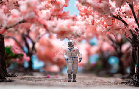 樱花设计樱花树下的医护人员背景