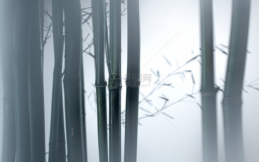竹子东亚水平构图雾色中的竹林图片