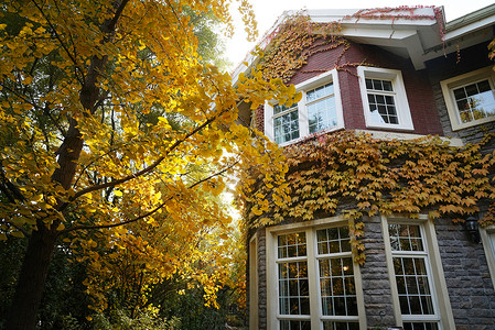秋天的私家别墅豪华高清图片素材