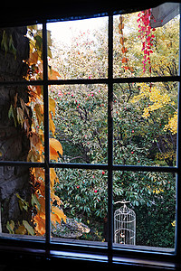 秋天透过窗户看庭院中的美景房屋高清图片素材
