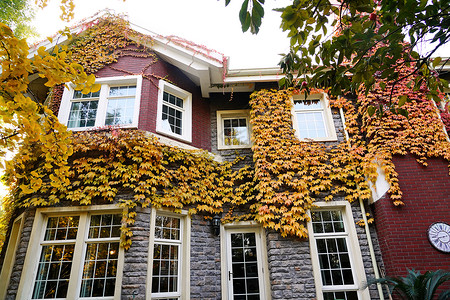 秋天的私家别墅建筑高清图片素材