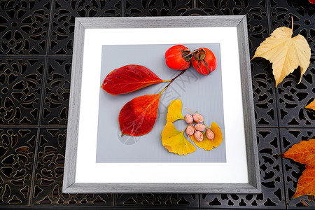 白果柿子和银杏果的创意画高清图片