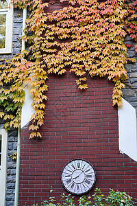 秋天时间房地产私家别墅外观局部背景