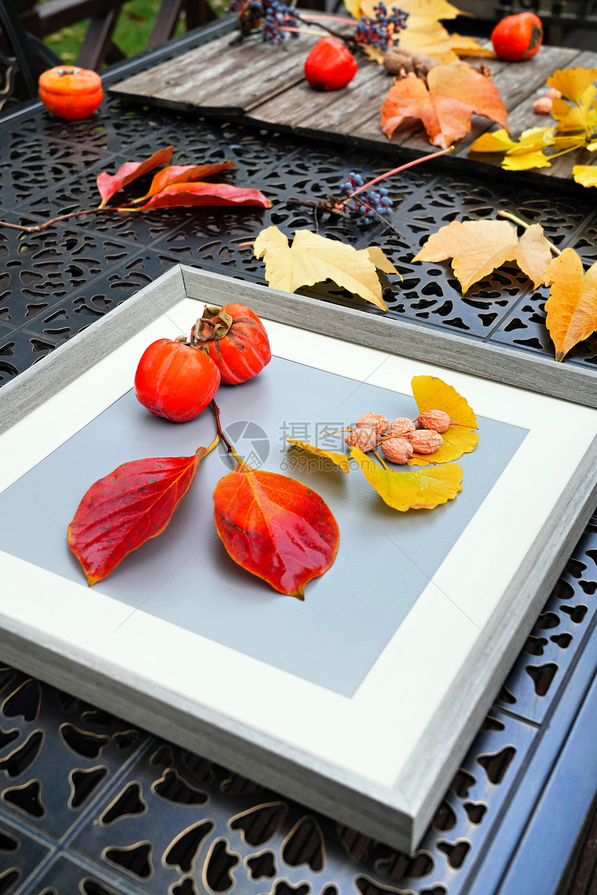 秋天户外的柿子和核桃图片