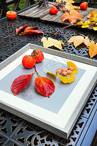 秋天户外的柿子和核桃高清图片