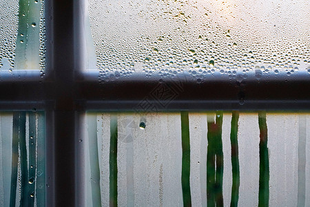 阴天雨后的窗户局部雨滴高清图片素材