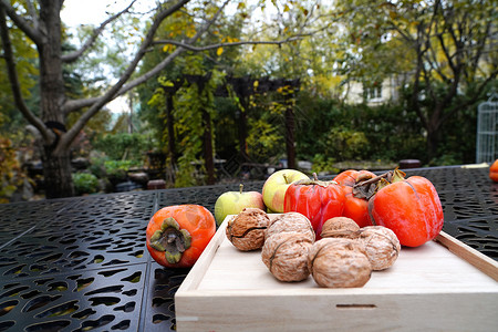 秋天户外的柿子和核桃图片