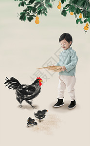 卡通母鸡美术工艺谷类垂直构图小男孩拿着簸箕撒谷物喂鸡背景