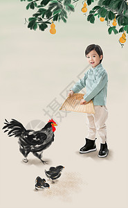 母鸡卡通欢乐户外创造力小男孩拿着簸箕撒谷物喂鸡背景