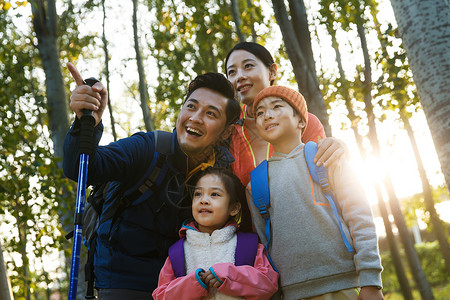 旅行者幸福家庭徒步旅行树林高清图片素材