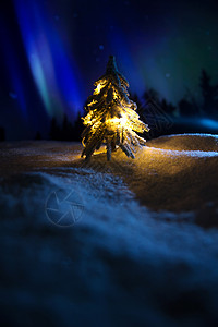 雪景摄影下雪摄影圣诞装饰物圣诞树背景