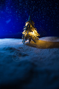 雪景摄影照亮摄影无人圣诞树背景