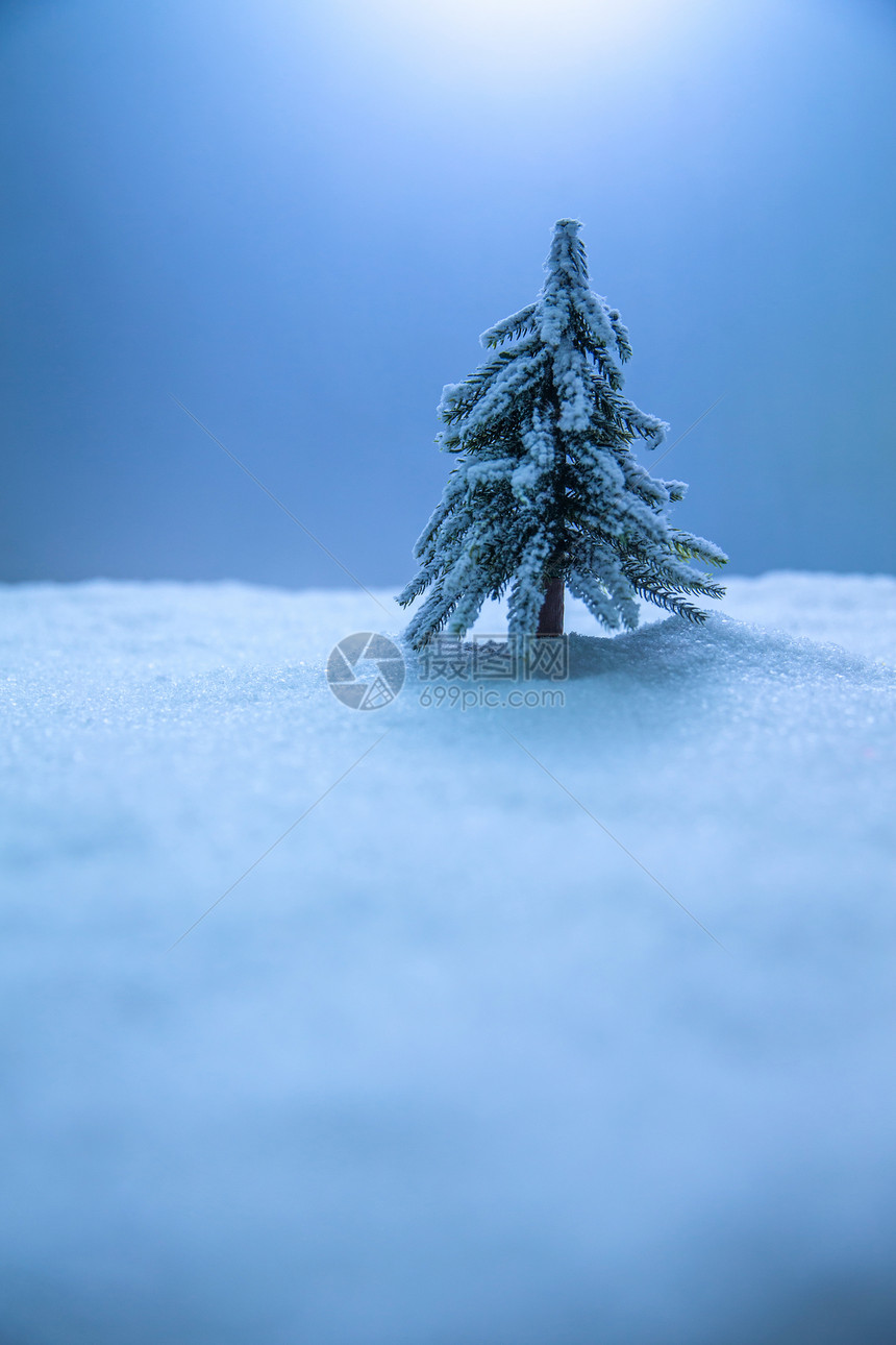 冬天静物圣诞装饰物圣诞树图片