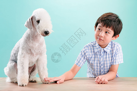 可爱的关爱天真小男孩和宠物狗图片