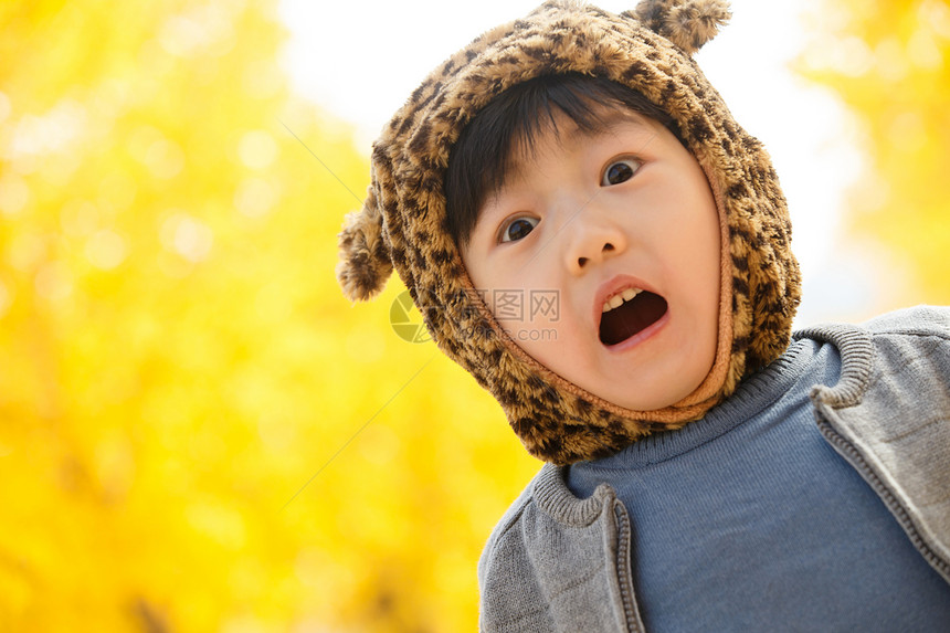秋天小男孩在户外玩耍图片