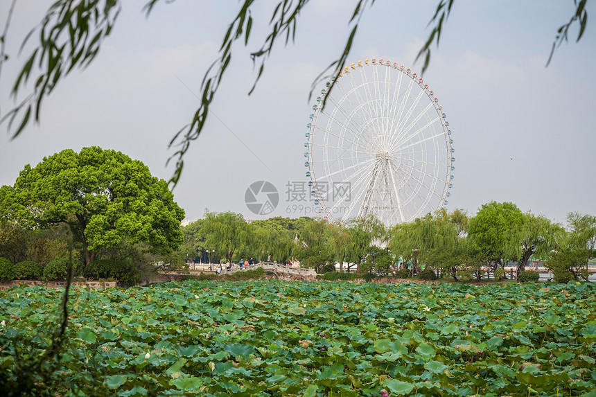 江苏省无锡蠡园图片