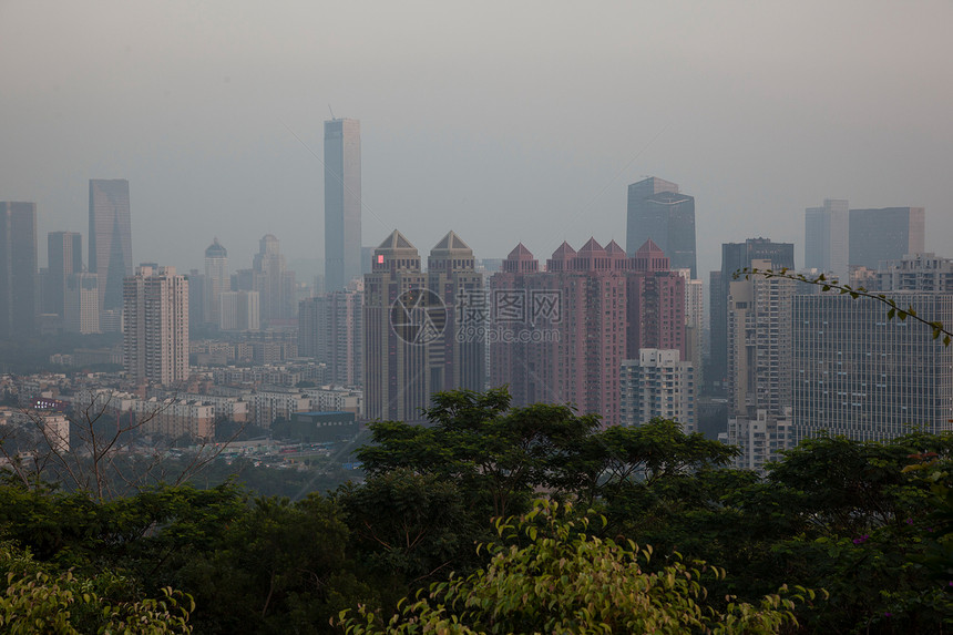 广东省深圳莲花山图片