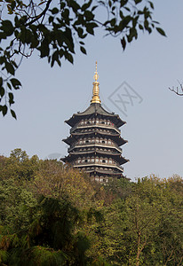 名胜古迹雷峰塔日光树林风景浙江省杭州西湖雷峰塔背景