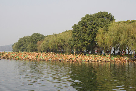 旅游目的地浙江省杭州西湖图片