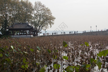河流自然美浙江省杭州西湖图片