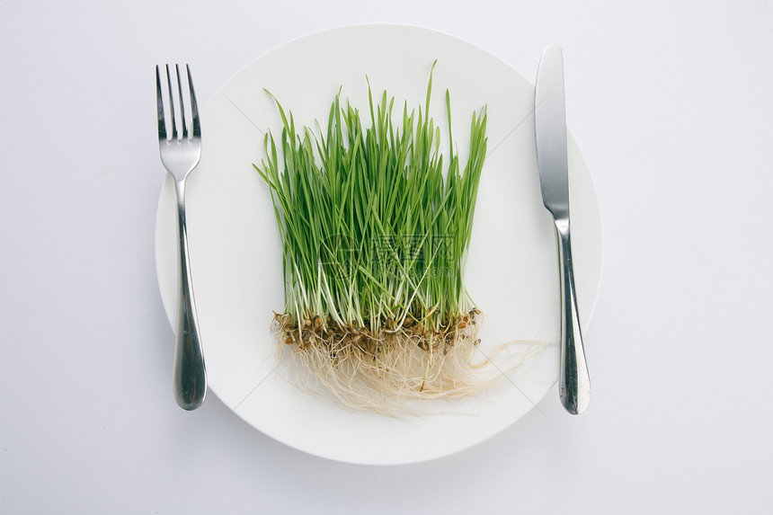 纯净叉子水平构图健康饮食图片