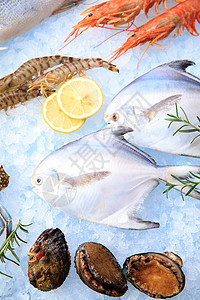 美味冰镇海鲜海产高清图片素材
