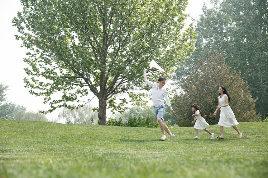 双亲家庭学龄前儿童三个人一家三口在草地上放风筝图片