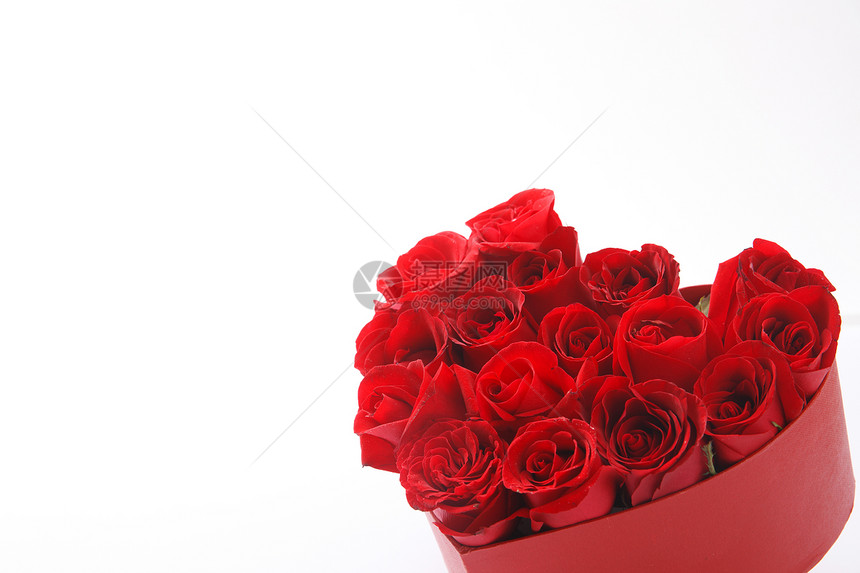 整齐的浪漫爱玫瑰花图片