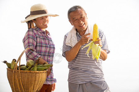 农民收获玉米图片