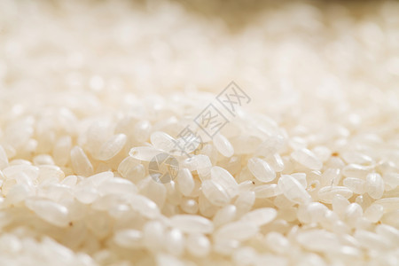 大米水稻饱满米粒高清图片