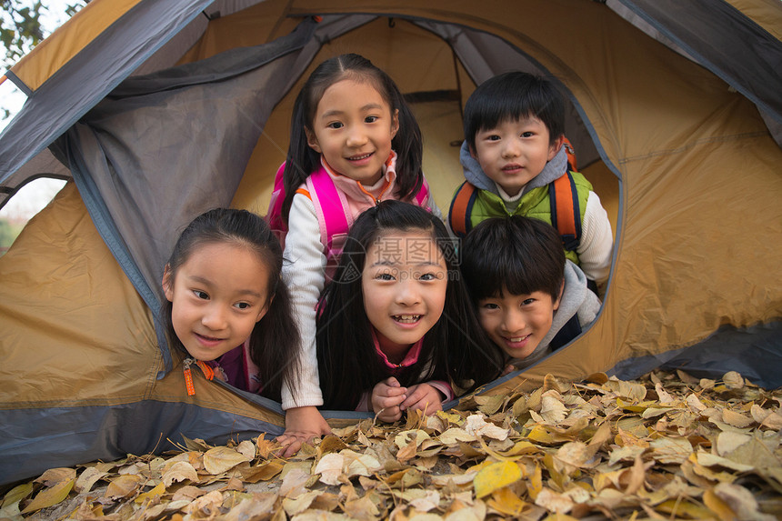 小学生在户外露营图片