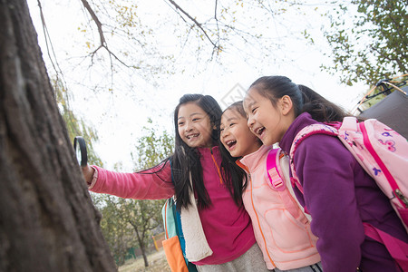 蹲在树下的女孩小学生户外活动欢乐的小女孩在户外玩耍背景