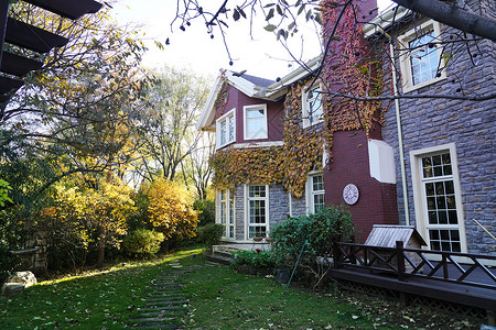 亚洲藤蔓植物草坪私家别墅背景图片