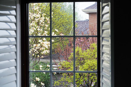 风景庭院社区窗户私家花园高清图片素材