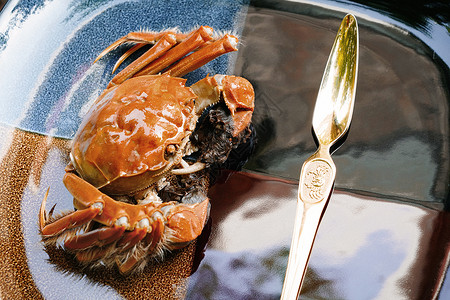 餐饮东方海鲜螃蟹高清图片