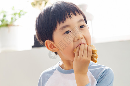 吃饼干男孩儿童教育幼儿园小朋友吃三明治背景