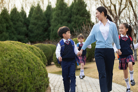 学校里的老师和学生教育高清图片素材