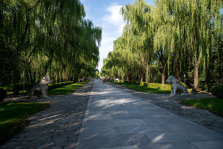 北京十三陵神路图片