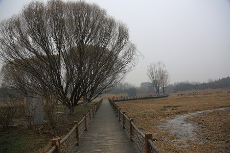 都市风光人文风光北京风情图片