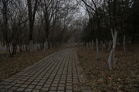 城市风光都市风光北京风情图片