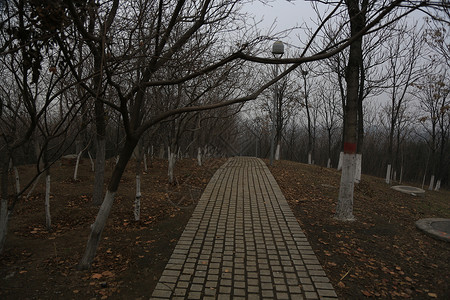 建筑都市风光城市风光北京风情背景图片