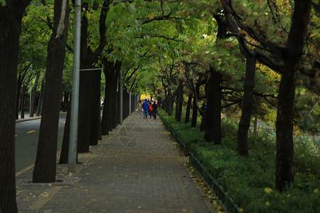 都市风光美景风景北京风光图片