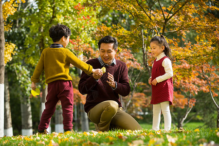 公园银杏叶树叶幸福家庭户外玩耍图片