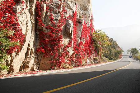 自然地理山路自然景观北京郊区的公路图片