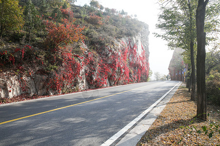 交通运输自然景观环境北京郊区的公路图片