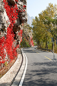 路标自然景观自然北京郊区的公路图片